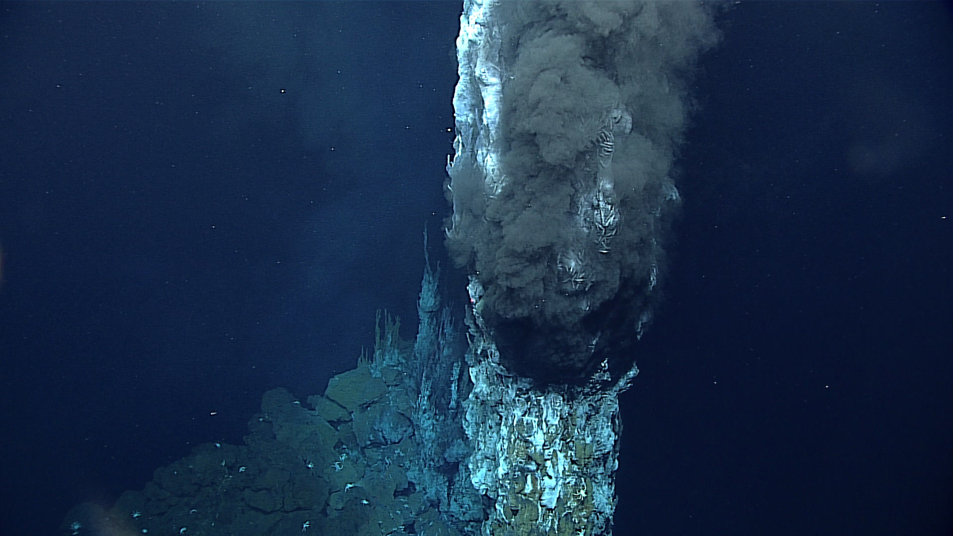 Hydrothermal Vents