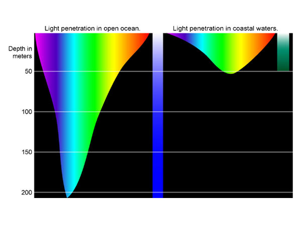 Why does the ocean absorb color in the red part of the spectrum of