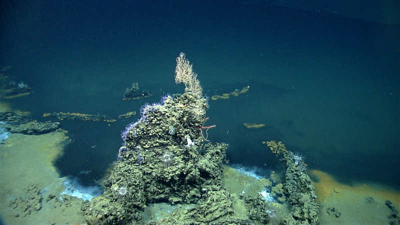A dense brine pool is sitting on the bottom of the seafloor, unable to mix with the surrounding seawater that is much less salty. The brine pool is dark in color in contrast to the surrounding water and sediment. 