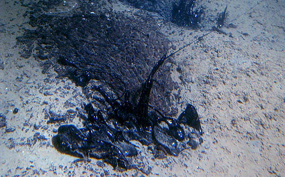 Think, black tar seeping out of the seafloor at an oil seep off the coast of Santa Barbara, California.